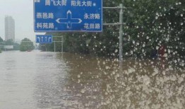 涿州洪水最新爆料新闻,救援行动紧张进行，受灾情况持续更新